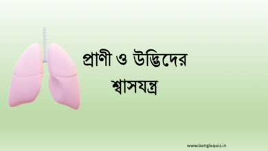 প্রাণী ও উদ্ভিদের শ্বাসযন্ত্র
