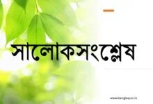 সালোকসংশ্লেষ কাকে বলে