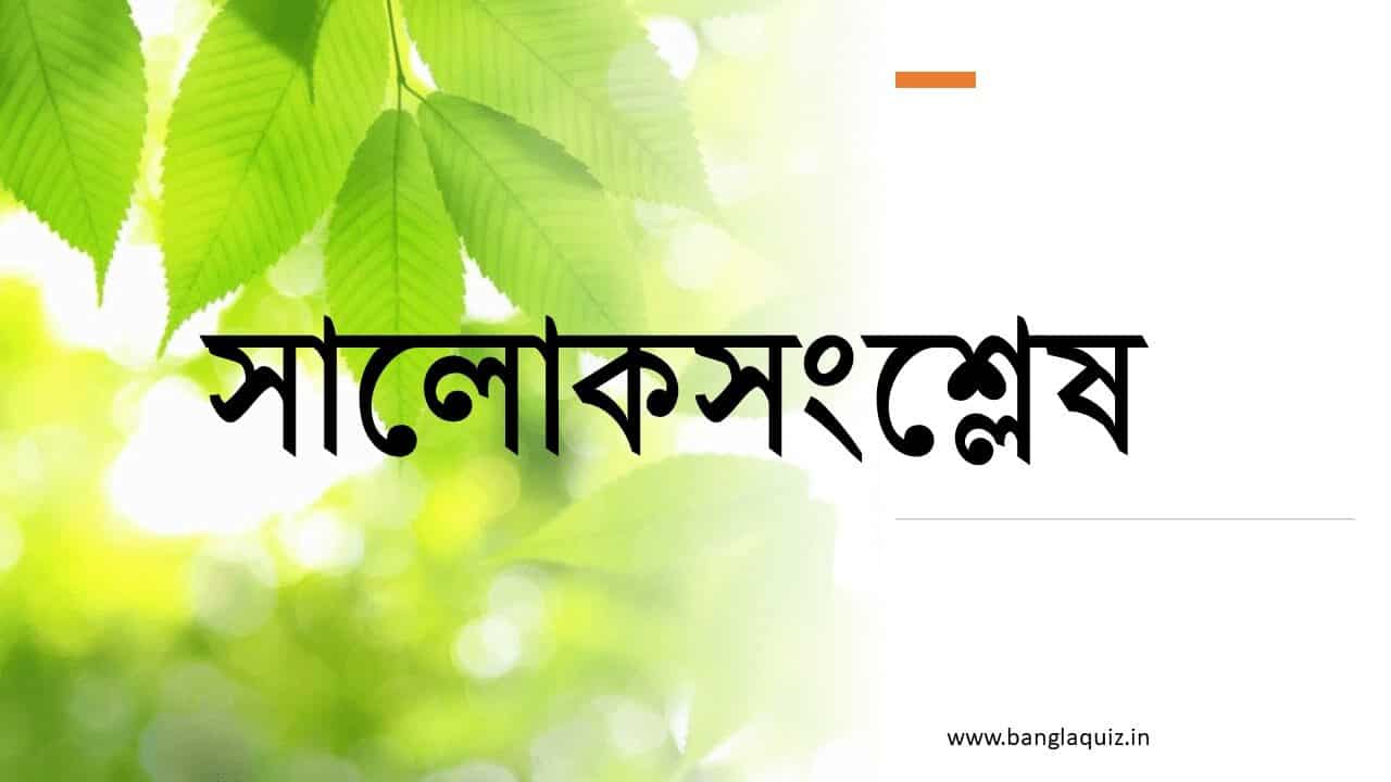 সালোকসংশ্লেষ কাকে বলে