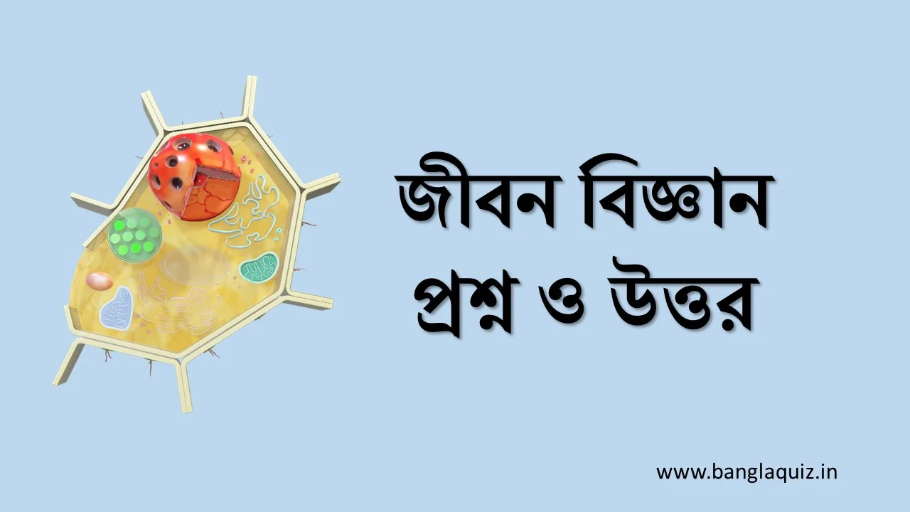 180+ জীবন বিজ্ঞান প্রশ্ন ও উত্তর PDF - প্রশ্নোত্তরে জীবনবিজ্ঞান 1 জীবন বিজ্ঞান প্রশ্ন ও উত্তর