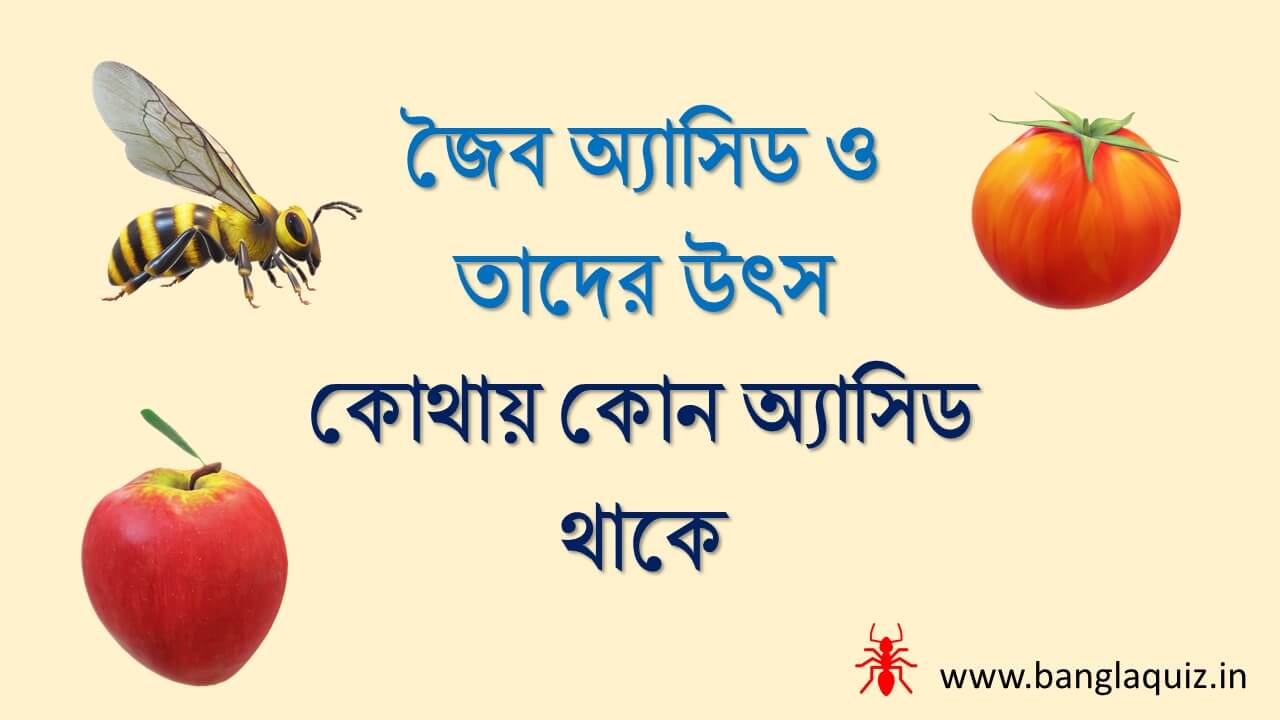 জৈব অ্যাসিড ও তাদের উৎস