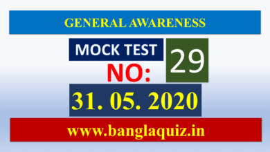 Mock Test 29