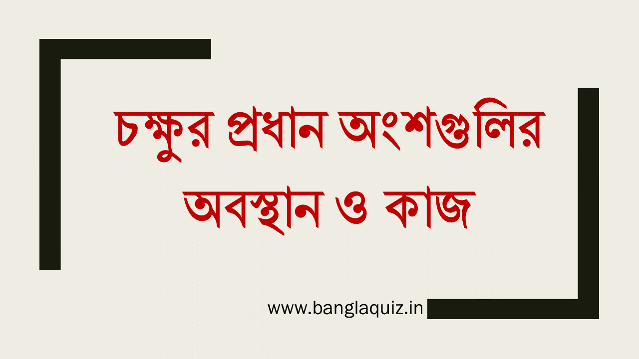 চক্ষুর প্রধান অংশগুলির অবস্থান ও কাজ