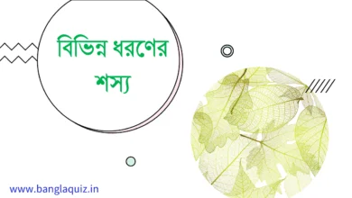 বিভিন্ন ধরণের শস্য