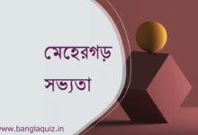 মেহেরগড় সভ্যতা