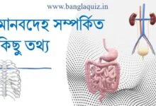এক নজরে মানবদেহ