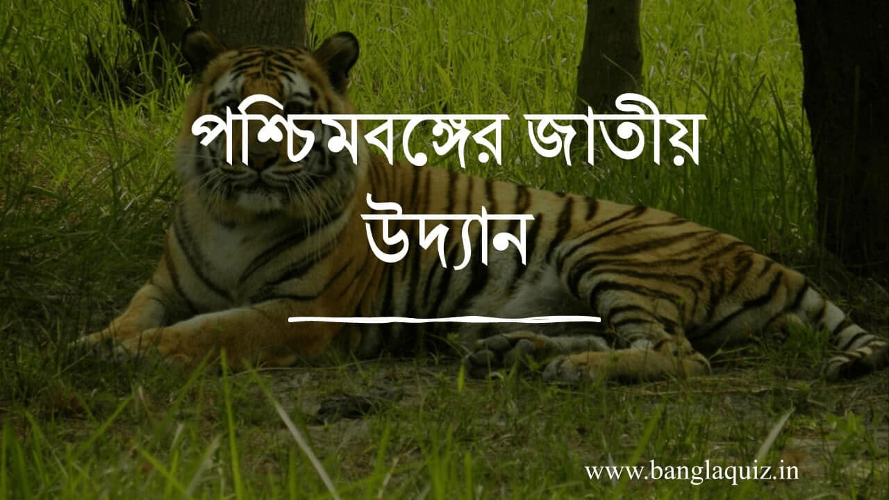 পশ্চিমবঙ্গের জাতীয় উদ্যান