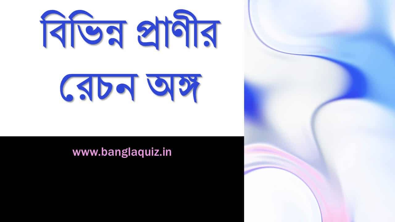 বিভিন্ন প্রাণীর রেচন অঙ্গ