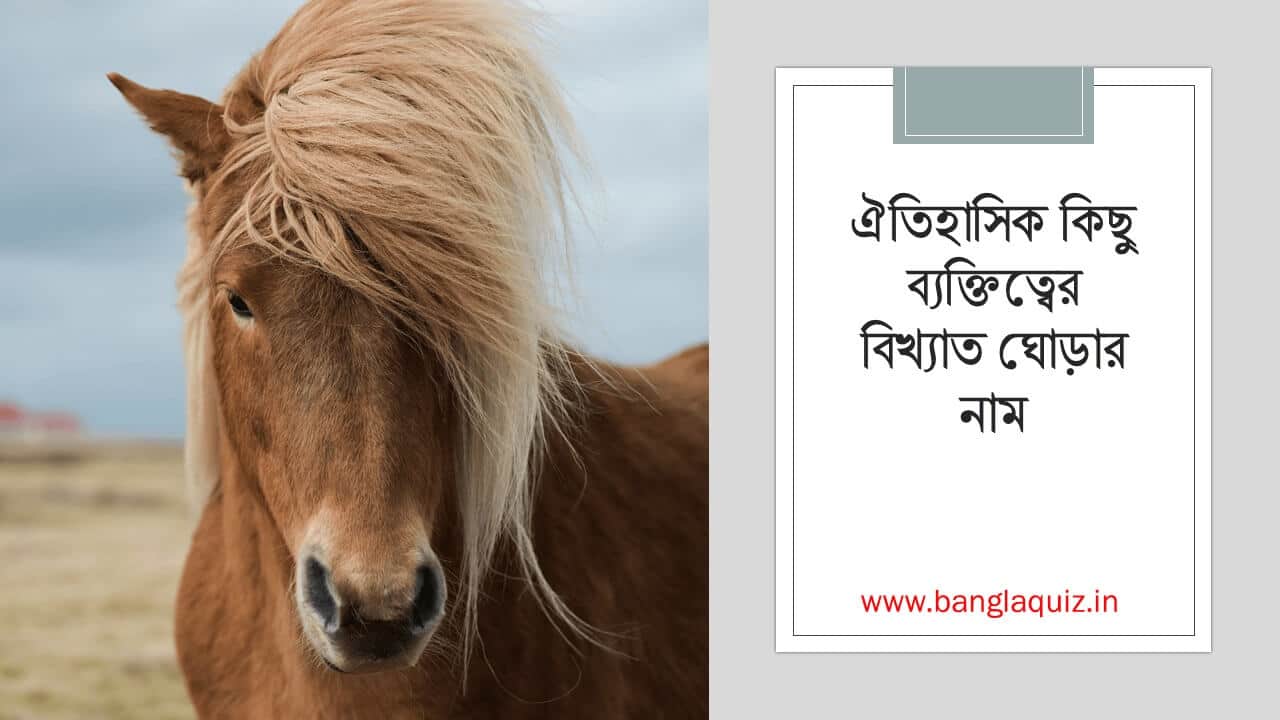 ঐতিহাসিক কিছু ব্যক্তিত্বের বিখ্যাত ঘোড়ার নাম