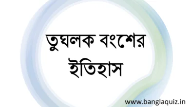 তুঘলক বংশের ইতিহাস