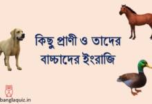 কিছু প্রাণী ও তাদের বাচ্চাদের ইংরাজি