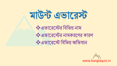 মাউন্ট এভারেস্ট