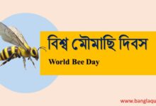 বিশ্ব মৌমাছি দিবস