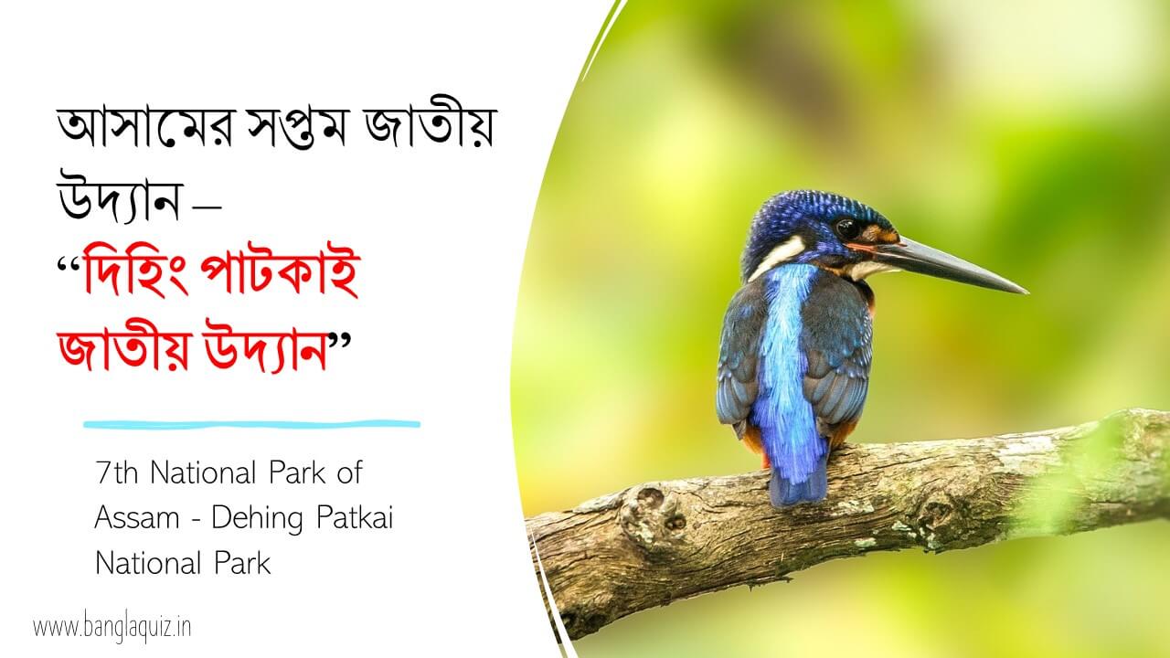 দিহিং পাটকাই জাতীয় উদ্যান