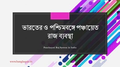 পঞ্চায়েত রাজ ব্যবস্থা