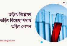 তড়িৎ বিশ্লেষণ, তড়িৎ বিশ্লেষ্য পদার্থ তড়িৎ লেপন