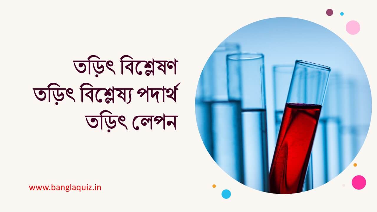 তড়িৎ বিশ্লেষণ, তড়িৎ বিশ্লেষ্য পদার্থ তড়িৎ লেপন