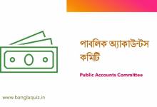 পাবলিক অ্যাকাউন্টস কমিটি