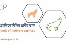50+ Animals and their Movements List PDF Download - বাংলা কুইজ