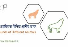 ইংরেজিতে বিভিন্ন প্রাণীর ডাক