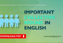 Important Collective Nouns in English