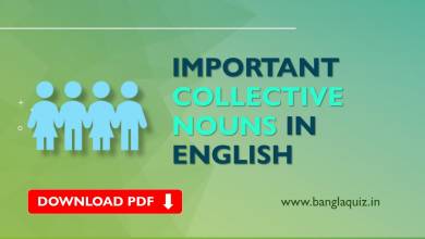 Important Collective Nouns in English
