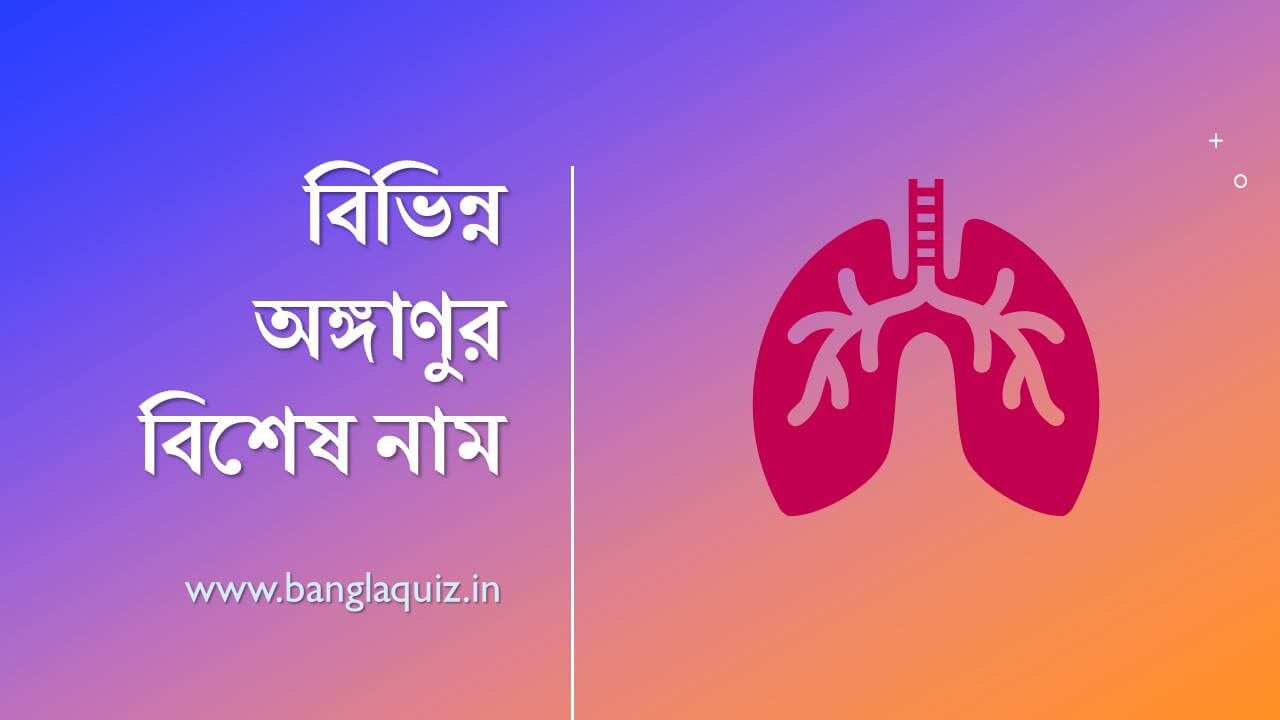 বিভিন্ন অঙ্গাণুর বিশেষ নাম