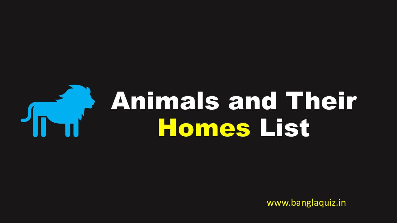 Animals and Their Homes List