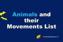 Animals and their Movements List
