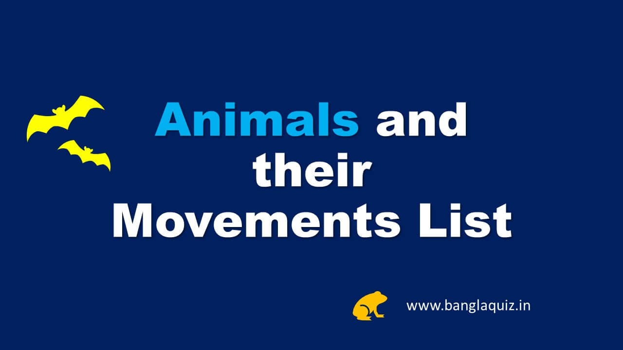 Animals and their Movements List