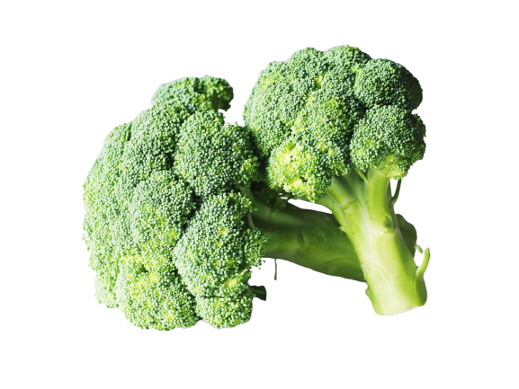 Broccoli - ব্রকলি 