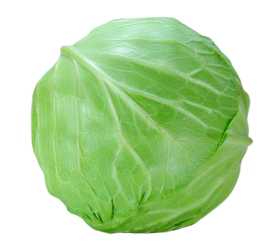 Cabbage - বাঁধাকপি 