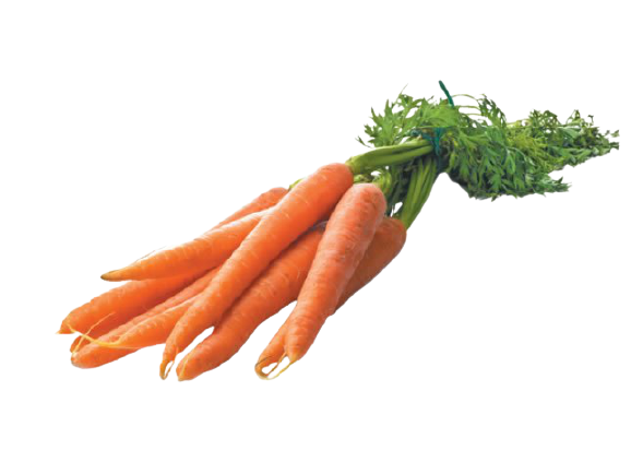 Carrot - গাজর 