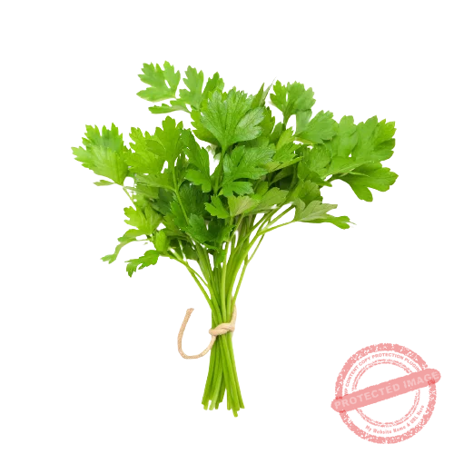 Vegetable Names in English with Pictures and Bengali Meaning