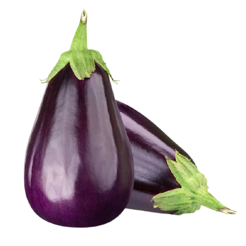Eggplant / Brinjal  - বেগুন 