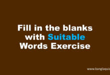 Fill in the blanks with Suitable Words Exercise