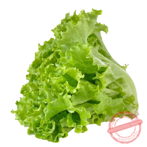 Vegetable Names in English with Pictures and Bengali Meaning