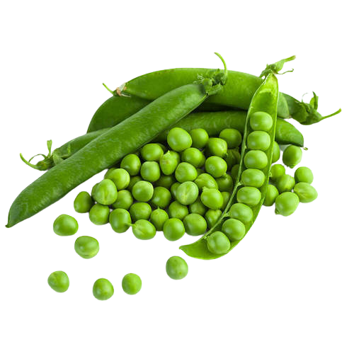 Peas - মটরশুঁটি 