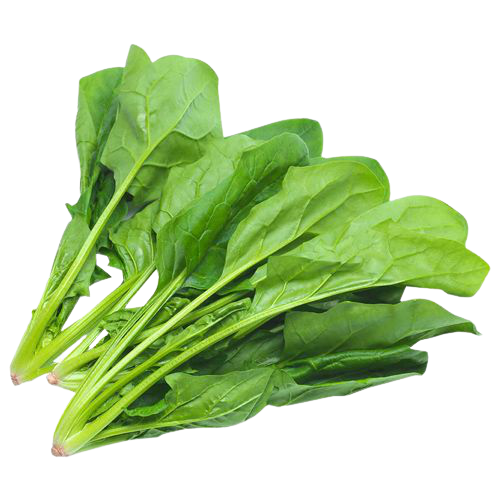 Spinach - পালংশাক 