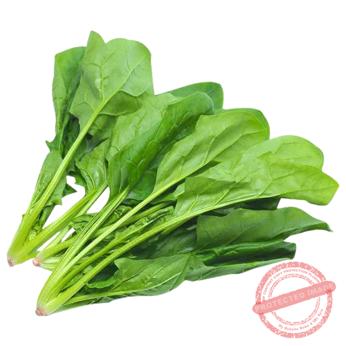 Vegetable Names in English with Pictures and Bengali Meaning