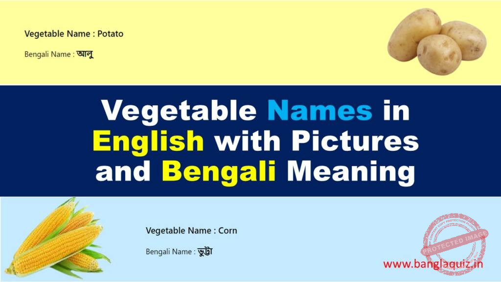 Vegetable Names in English with Pictures and Bengali Meaning