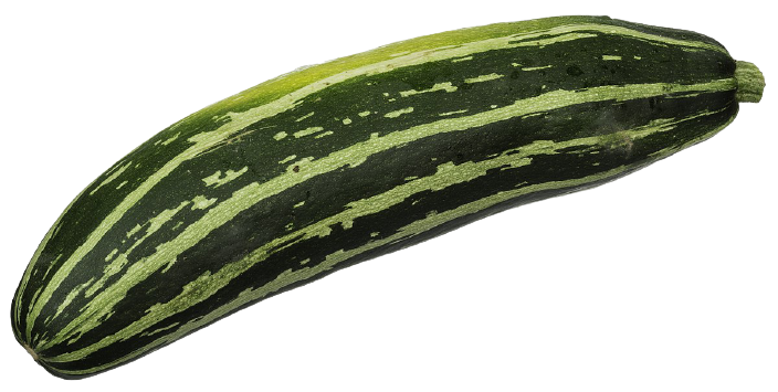 Zucchini - ধুন্দুল 