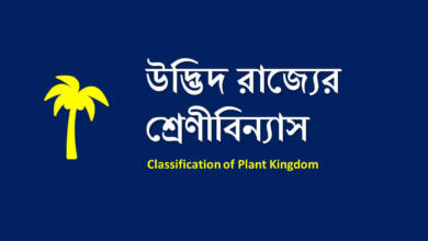 উদ্ভিদ রাজ্যের শ্রেণীবিন্যাস