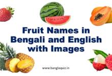 Fruit Names in Bengali and English with Images