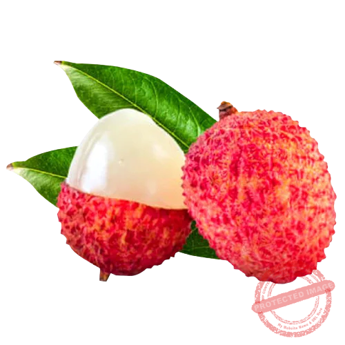 Fruit Names in Bengali and English with Images PDF বাংলা কুইজ