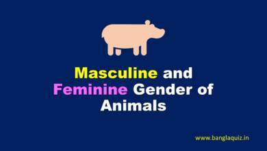 Masculine and Feminine Gender of Animals