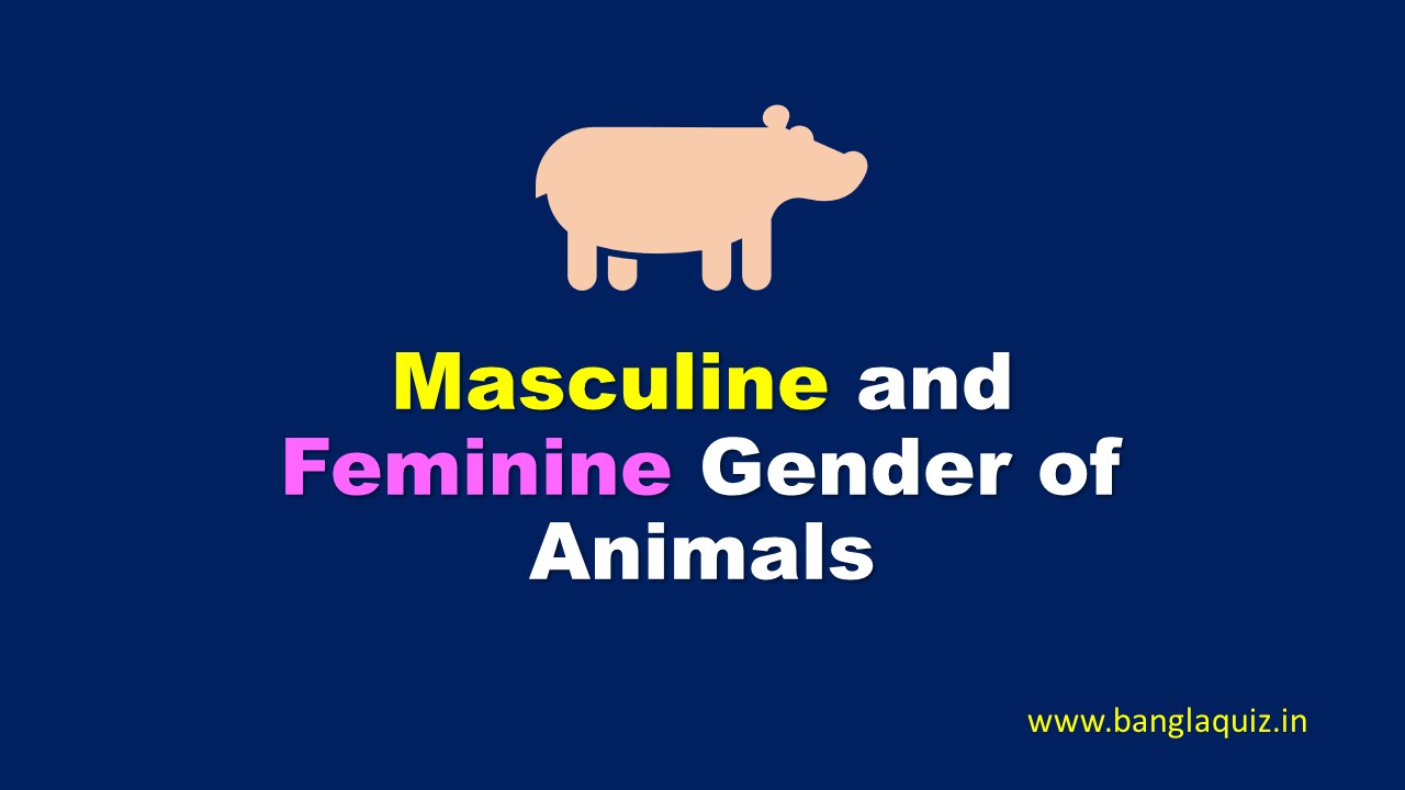 Masculine and Feminine Gender of Animals - Male and Female