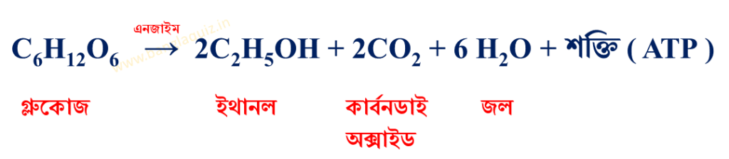 অবাত শ্বসনের রাসায়নিক বিক্রিয়া
