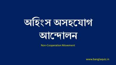 অহিংস অসহযোগ আন্দোলন