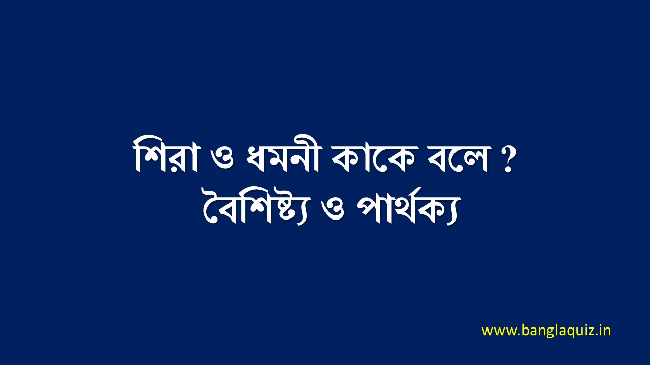 শিরা ও ধমনী কাকে বলে